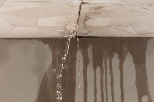 Professional Flood Damage Cleanup technician working in Boyceville, WI